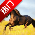你的电视app官方版v2.4.2 最新版