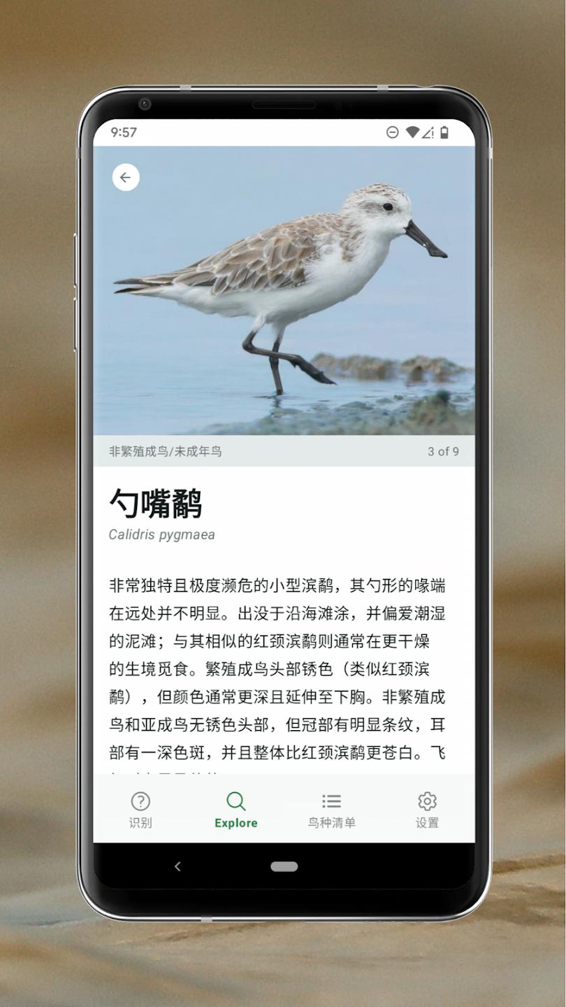 Merlin����ʶ��app�ٷ���(Merlin Bird ID)v3.12.1 ��׿��