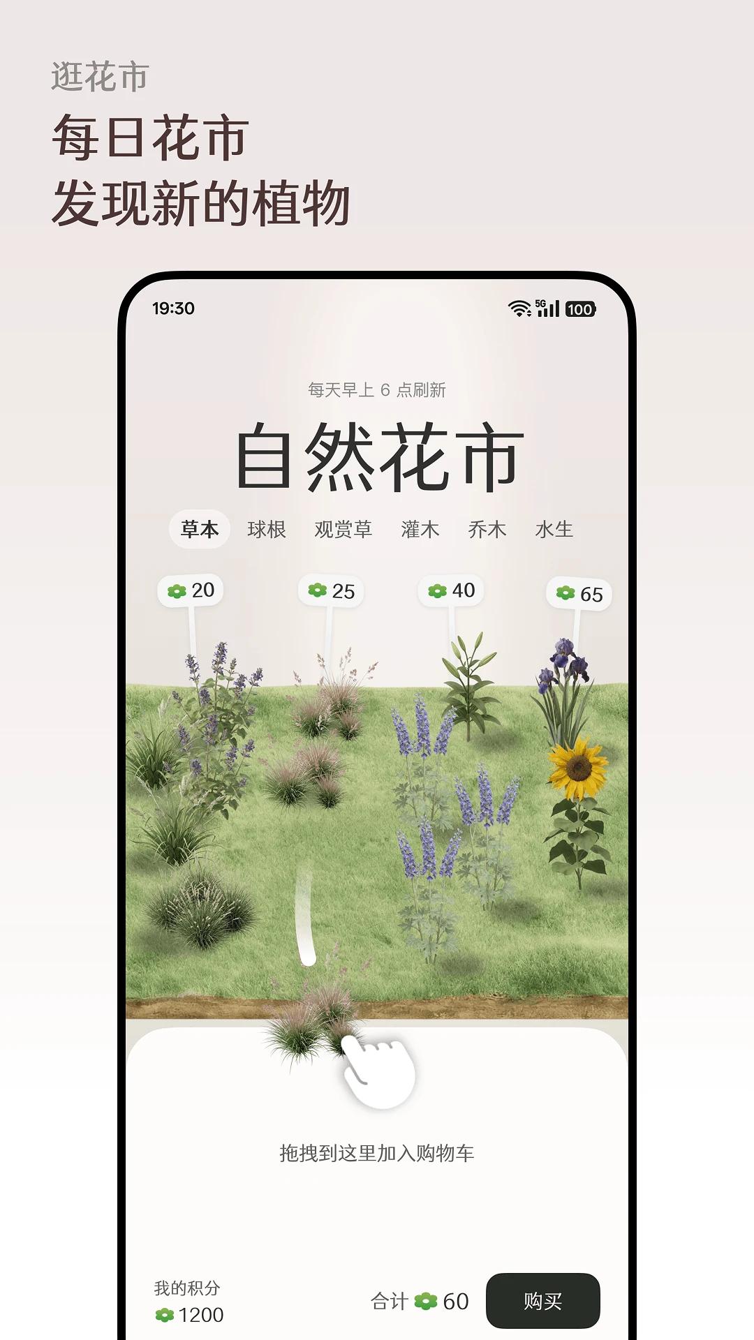 ����Floravale���°汾v1.0.4 �ֻ���