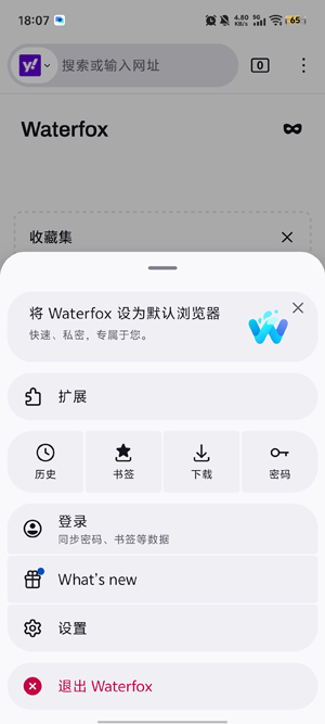 Waterfox安卓版 Waterfox安卓版