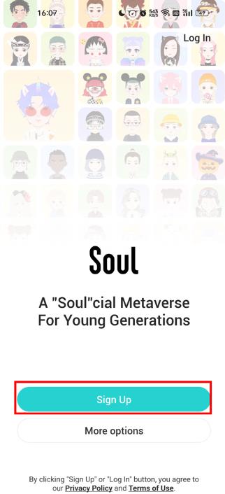 Soul���ʰ�