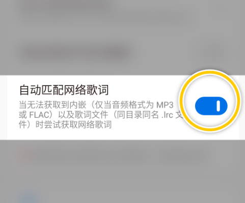 ��������app��׿��Salt Player