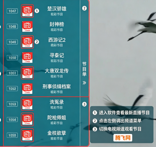 �·���ֱ��tv���°汾��������