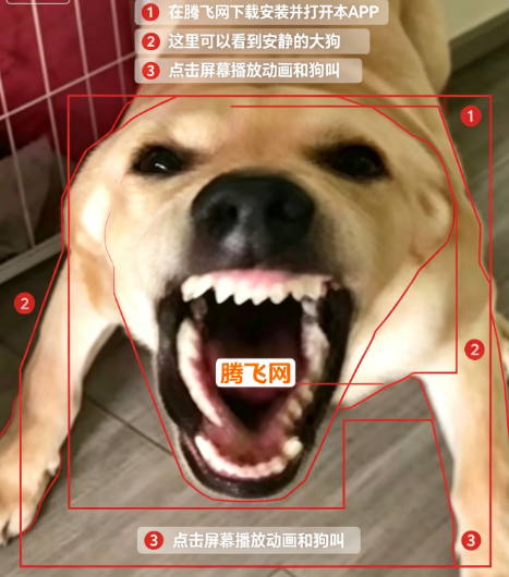 大狗大狗叫叫叫玩梗版 大狗大狗叫叫叫玩梗版