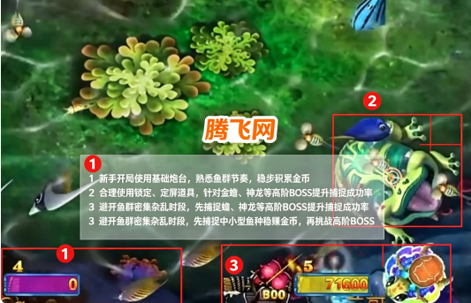 金蟾捕鱼怀旧版经典版 金蟾捕鱼怀旧版经典版