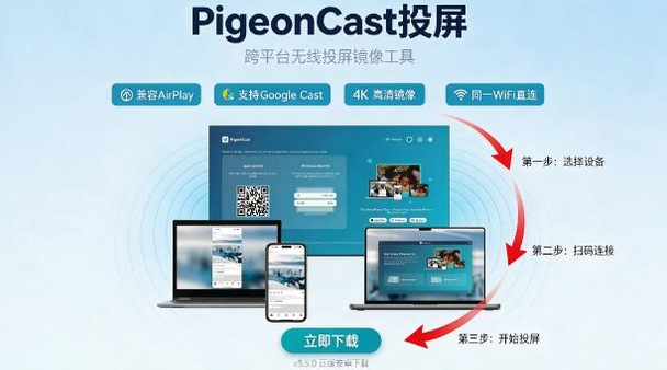 PigeonCast手机投屏到电视app PigeonCast手机投屏到电视app