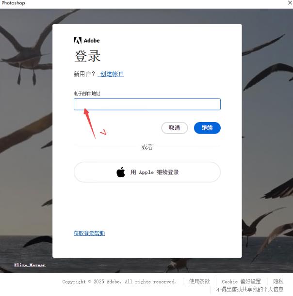 ps2026���氲װ��(Adobe Photoshop 2026)