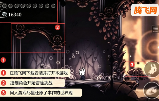 空洞骑士&黑表哥同人游戏 空洞骑士&黑表哥同人游戏