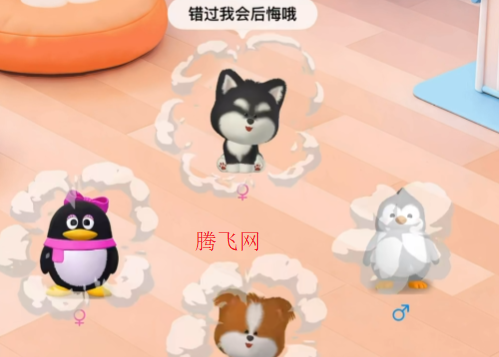 QQ�����ֻ���