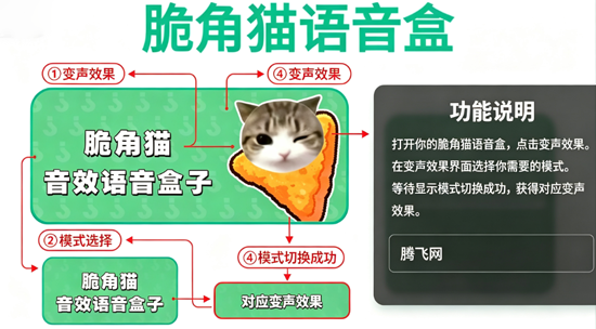 脆角猫语音盒APP下载 脆角猫语音盒APP下载