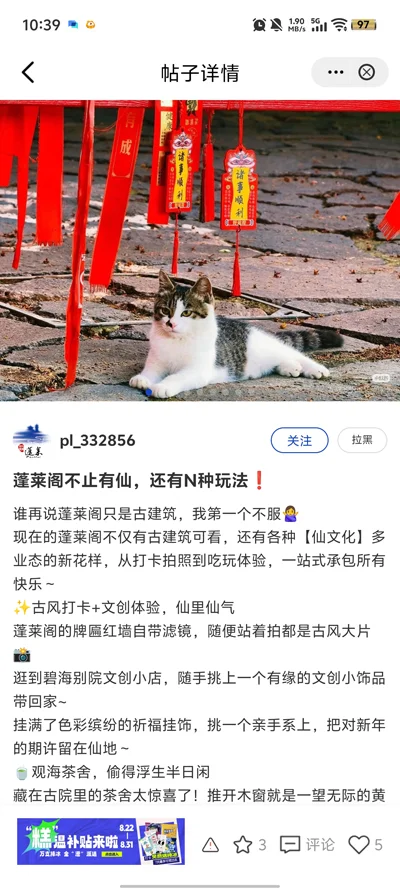 �����������������÷���Appv1.0.1 �������������ѯ