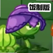ֲ���ս��ʬ������beta5�°�PVZ_Dnv1.2.0beta5 ���������İ������Ϸ