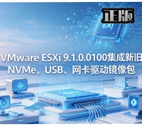 VMwareESXi��������������ȶ���v9.1.0.0100-25433460 ���������������������