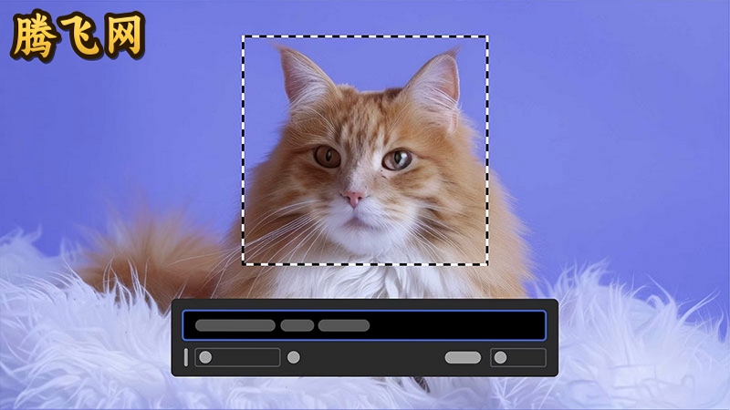 ps2026���氲װ��(Adobe Photoshop 2026)v27.8.0 ���İ�