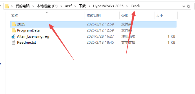 HyperWorks 2025 �⼤���