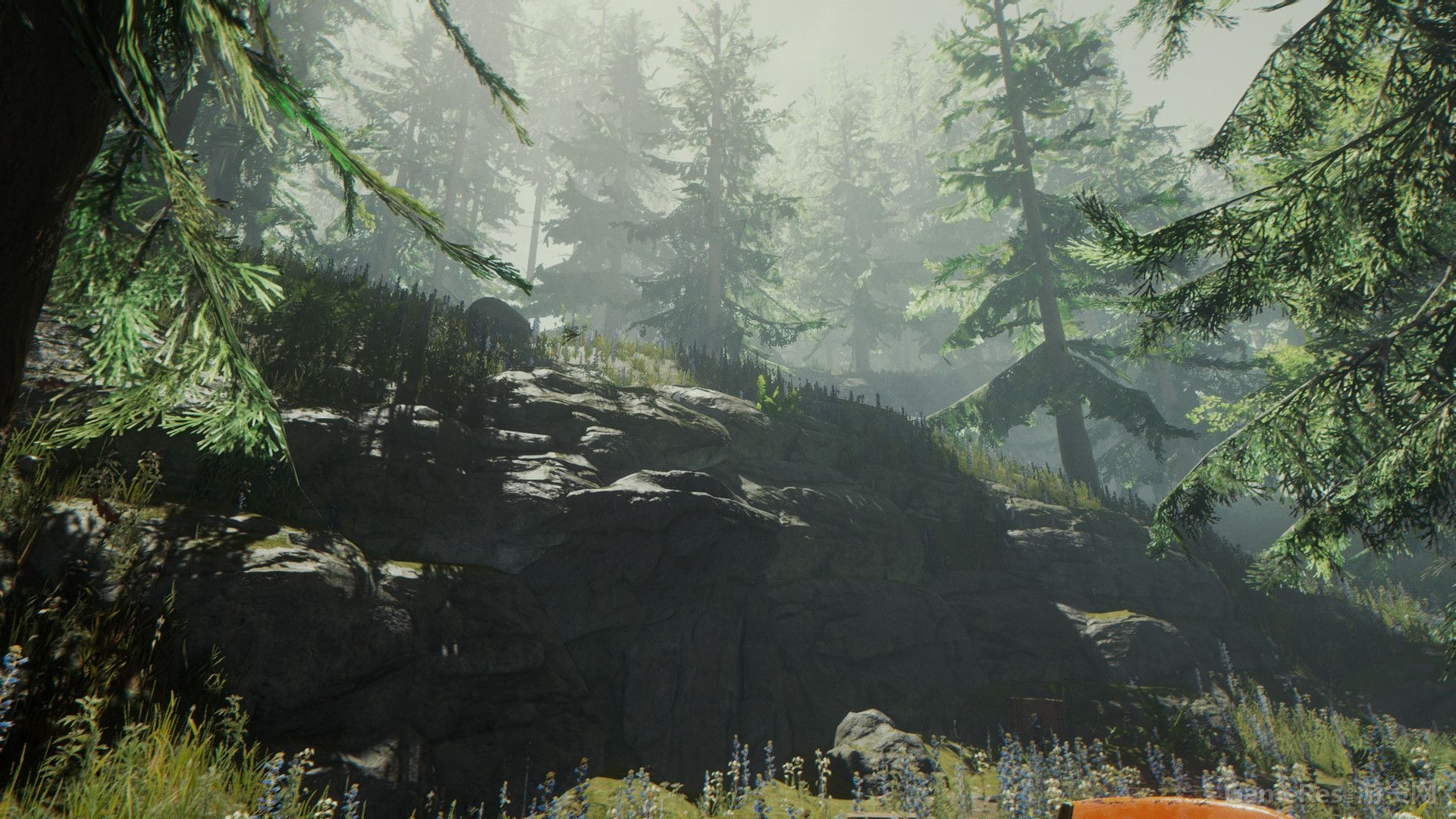 ɭ��(The Forest) ����ֲ� ��Ϸ��ͼ