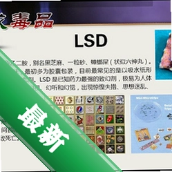 LSD:�ξ�ģ����v1.0 �ٷ���