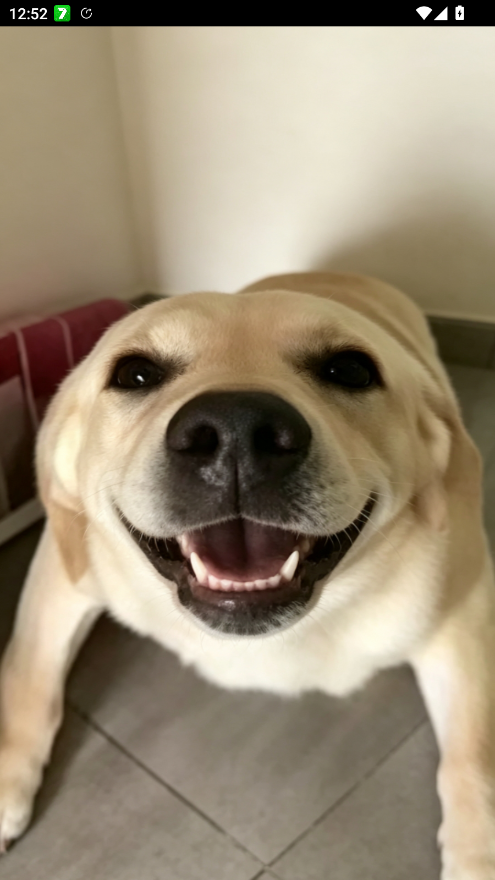 �󹷴󹷽нн��湣��v1.1 �����ȹ��󹷽�Ȥζ����