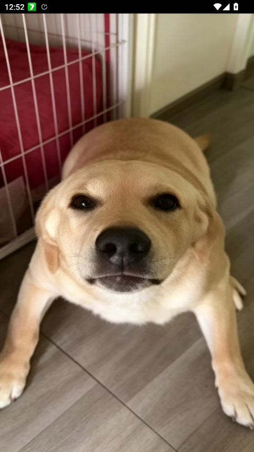 �󹷴󹷽нн��湣��v1.1 �����ȹ��󹷽�Ȥζ����