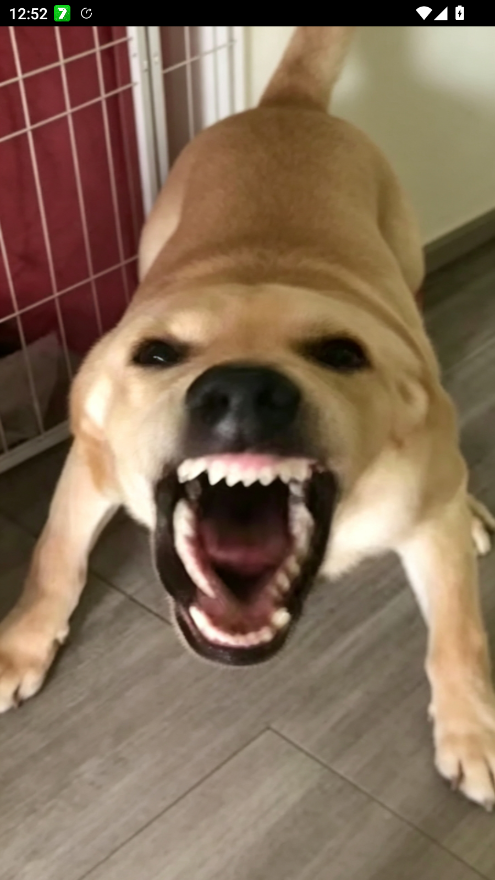 �󹷴󹷽нн��湣��v1.1 �����ȹ��󹷽�Ȥζ����