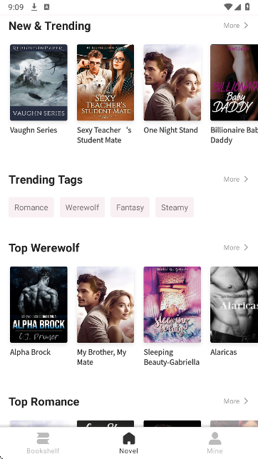 Novelful���°�v1.4.12 ����С˵�Ķ�����