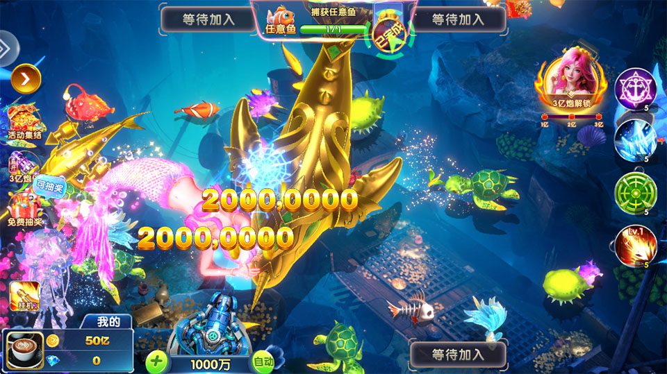 ���Ĳ���Ӯ����