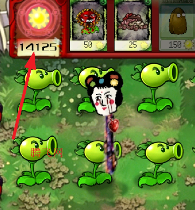 植物大战僵尸恐怖版无限阳光版 植物大战僵尸恐怖版无限阳光版