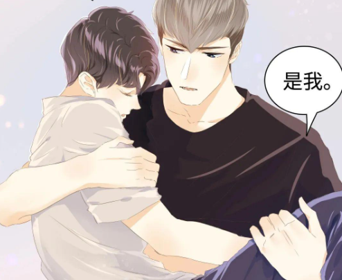 {$softname}