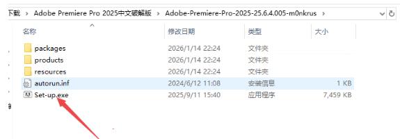 Adobe Premiere Pro 2025����ֱװ��