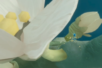 ������߼�����ȫ���� ������߼���ô���ٱ�ҵ
