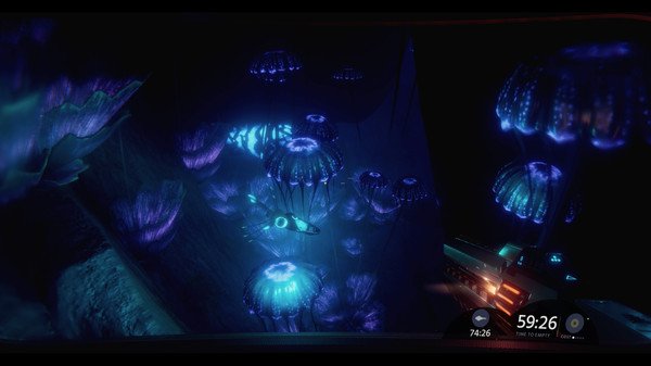 Debrisv1.0.2026 ������