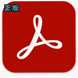 Adobe Acrobat Pro DC 2024�⼤���v2024.005.20421 ��ɫ��