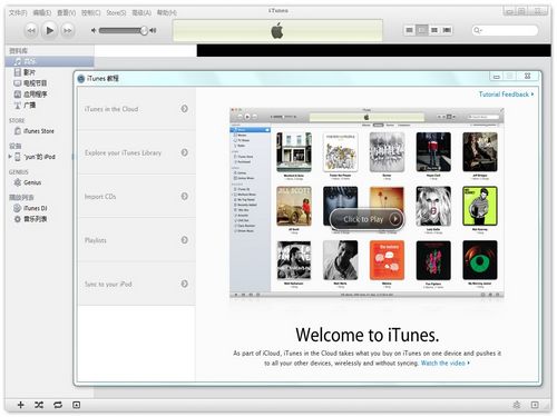 iTunesv12.13.6 ý���������