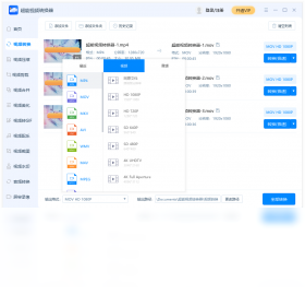 ������Ƶת�������԰�v2.0.5.100 ��Ƶ��ʽת��