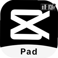 ��ӳרҵ���ֻ���v11.3.0 pad��