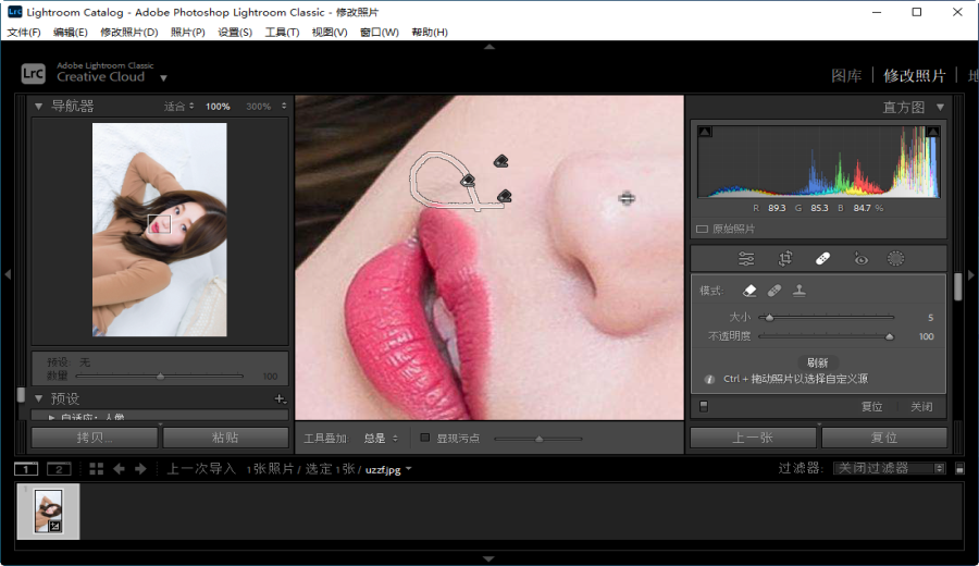 Lightroom Classic 2021ֱװ�����v10.4.0.202108071231 ���԰�