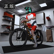 自行车极限骑手3d无限金币版v4.500 最新版