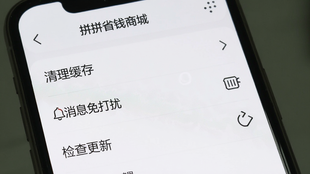 主体为一张手机截图,显示“拼拼省钱商城”的设置页面,页面中有“清理缓存”、“消息免打扰”、“检查更新”等选项。布局为列表形式,风格简洁,细节清晰,画质干净无多余元素。