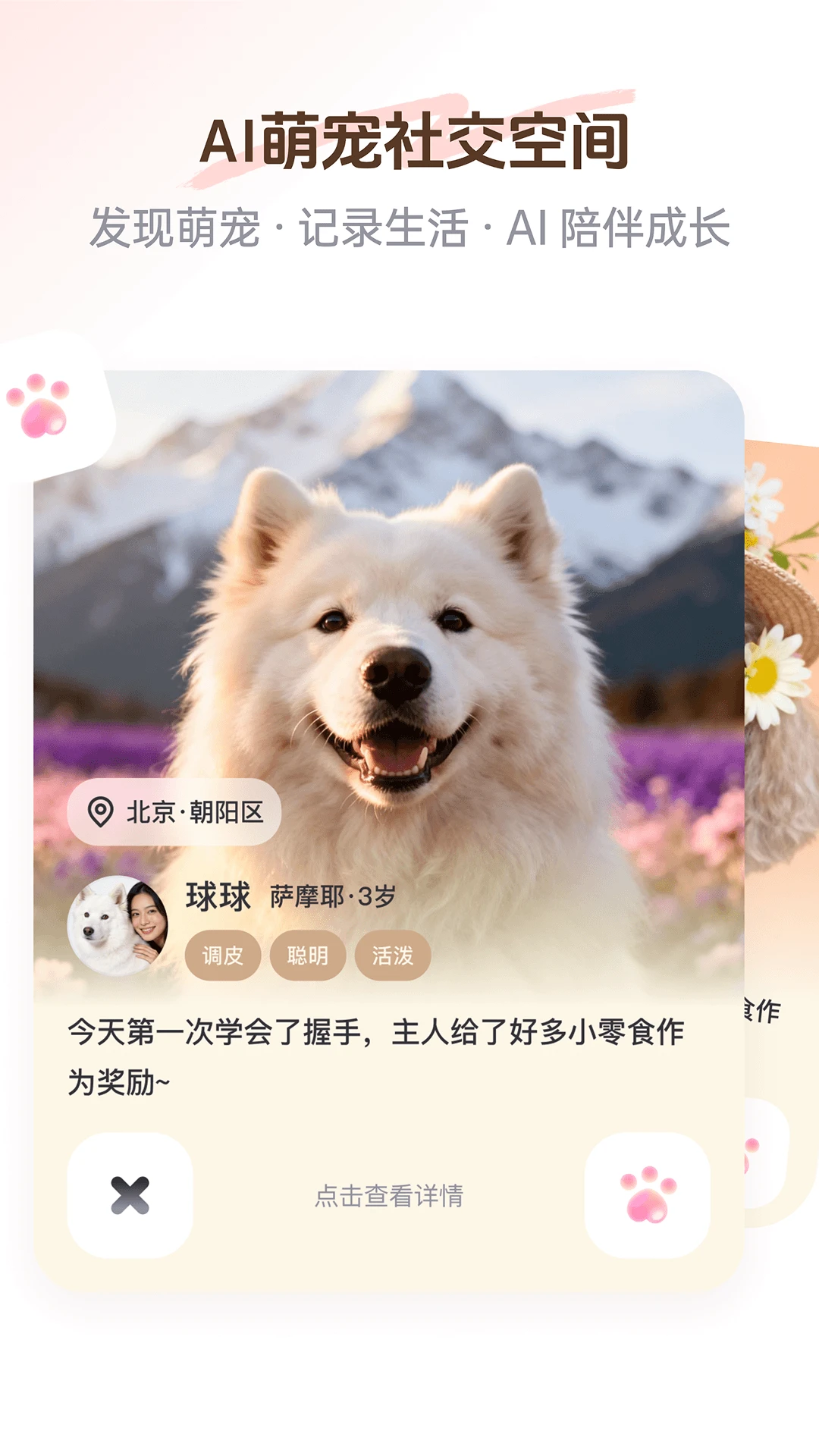 PetSpace-�����罻ƽ̨v2.4.0 ȫ�½��������