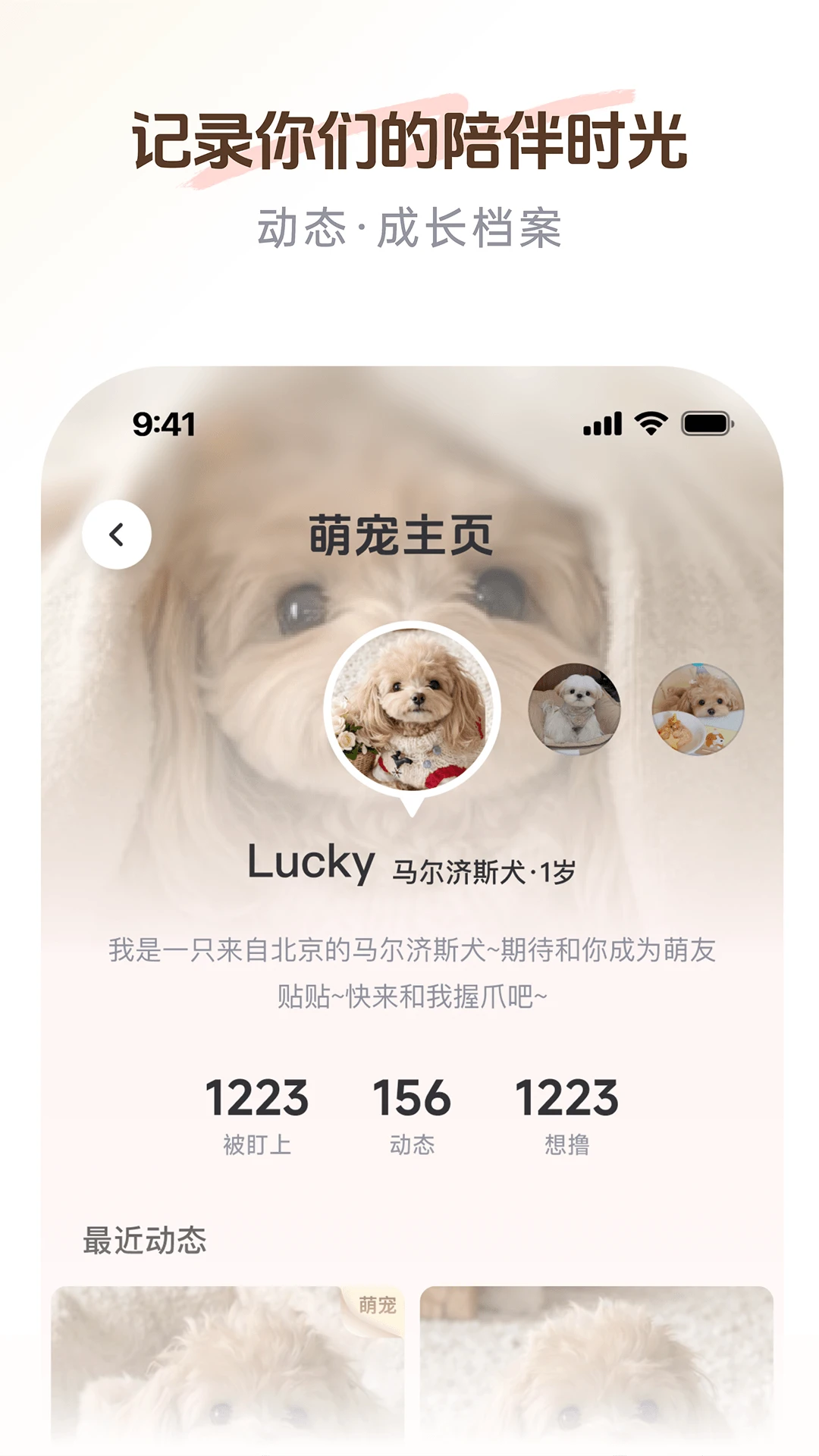 PetSpace-�����罻ƽ̨v2.4.0 ȫ�½��������