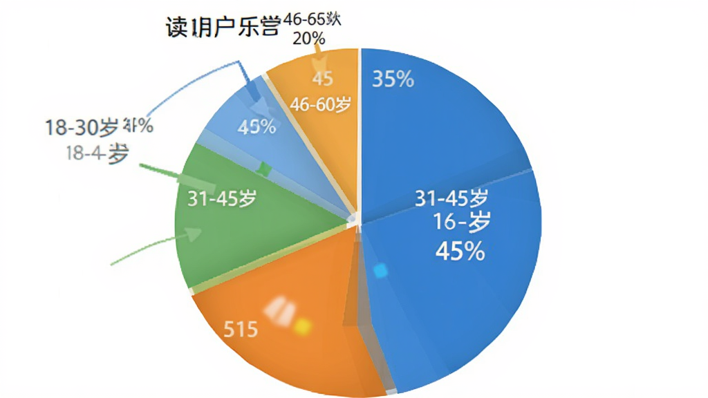 一张饼状图插画,展示“读书人乐学营”用户年龄分布,18-30岁占45%,31-45岁占35%,46-60岁占20%,布局清晰,排版专业,风格简洁,细节丰富,画质干净无多余元素。