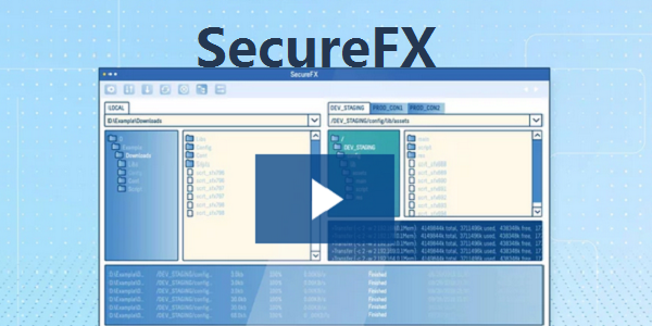 SecureFX���԰�v7.3.6 ��ȫ�ļ����乤��