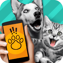 Animal Translation ���﷭�� ʹ�ý̳� ��׿��