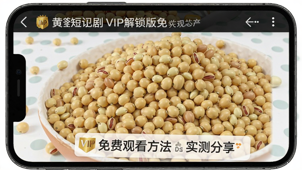 �ƶ��̾�VIP��������ѹۿ�����ʵ�����