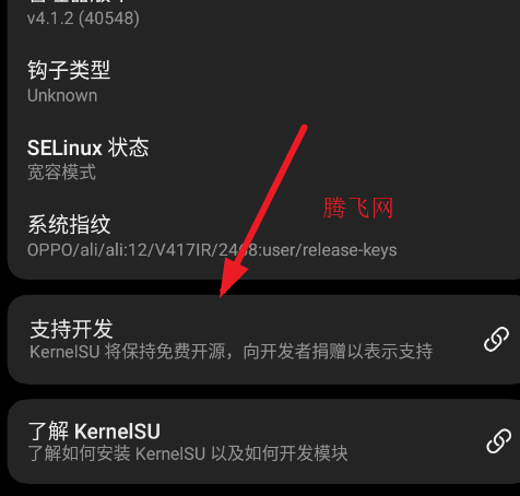 炸鱼面具官方版SukiSU Ultra 炸鱼面具官方版SukiSU Ultra
