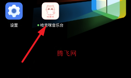 哈基米音乐台手机版(哈吉咪音乐台) 哈基米音乐台手机版(哈吉咪音乐台)