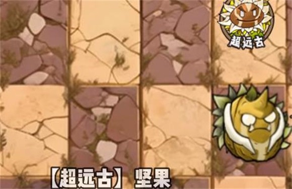 植物大战僵尸神奇植物版手机版 植物大战僵尸神奇植物版手机版