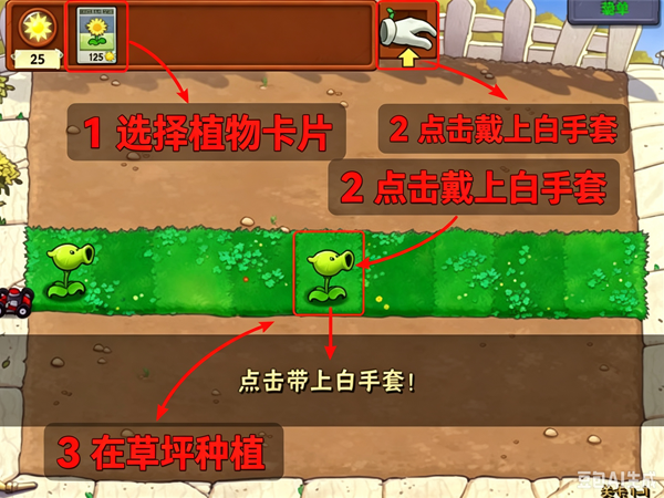 pvz�����װ����İ�