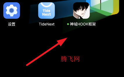 ����HOOK����ֻ���