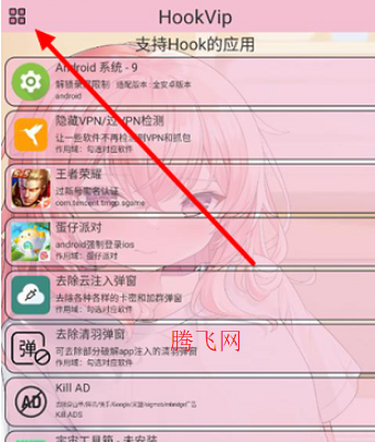 ����HOOK����ֻ���